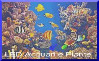 led per acquari e piante